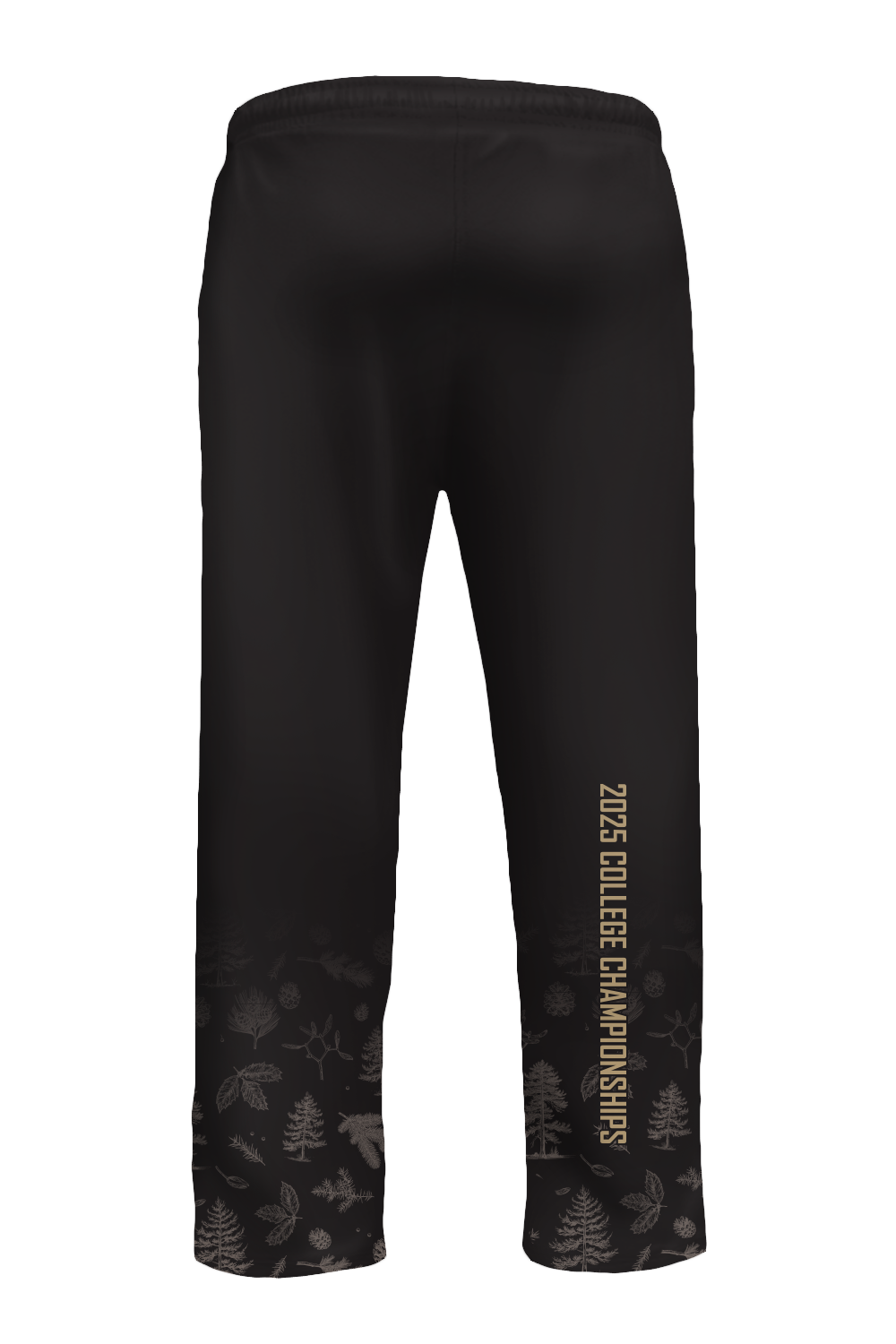 College 2025 Velocity Training Pants