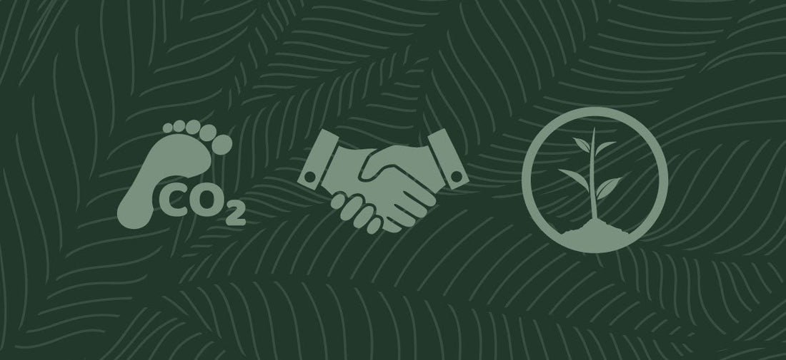 Our Commitment to Ethical Practices