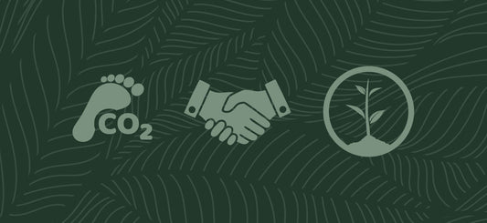 Our Commitment to Ethical Practices
