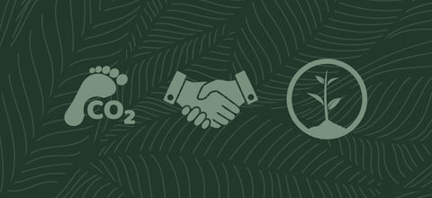 Our Commitment to Ethical Practices