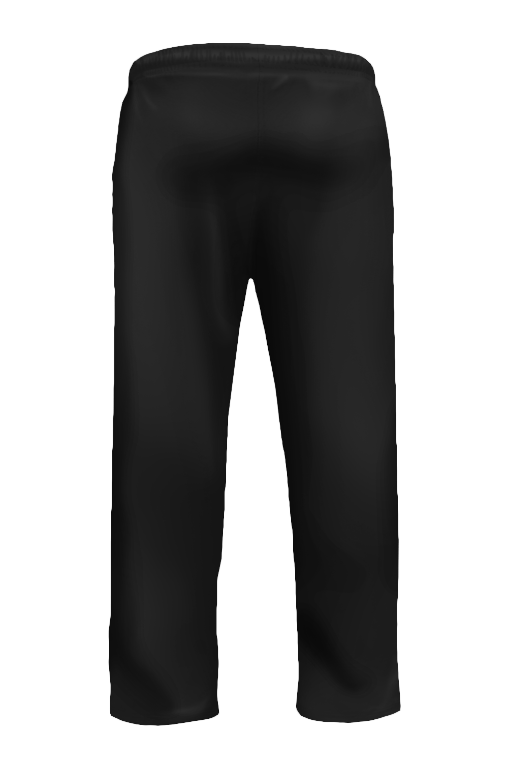 Velocity Training Pants